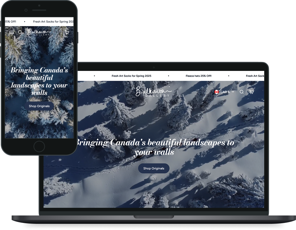 Bialkowski Gallery website device mockup