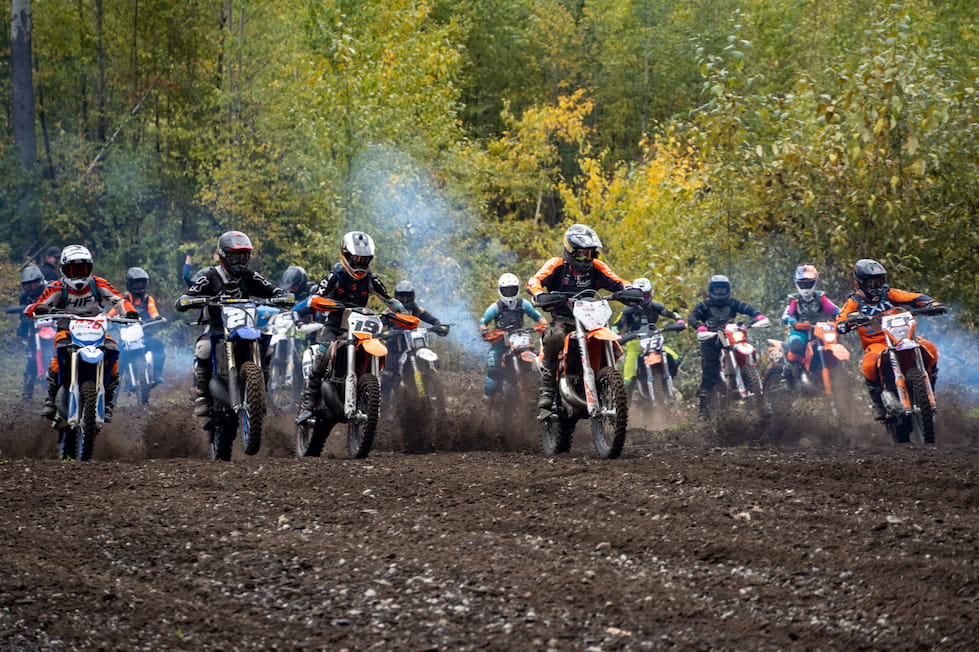 TreeHugger Hare Scramble hero image